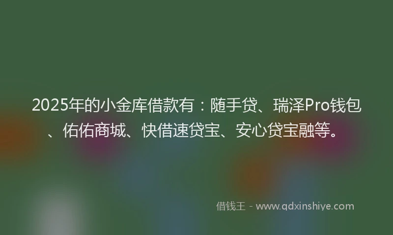 2025年的小金库借款有：随手贷、瑞泽Pro钱包、佑佑商城、快借速贷宝、安心贷宝融等。