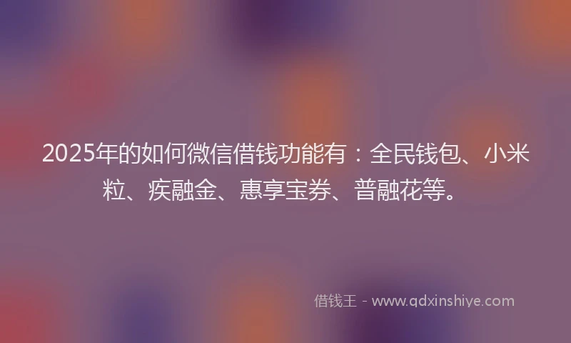 2025年的如何微信借钱功能有：全民钱包、小米粒、疾融金、惠享宝券、普融花等。