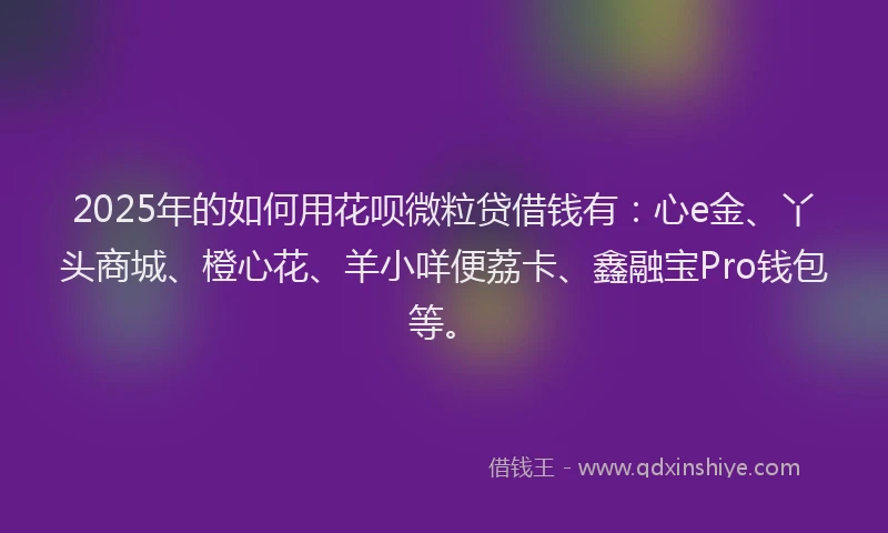 2025年的如何用花呗微粒贷借钱有：心e金、丫头商城、橙心花、羊小咩便荔卡、鑫融宝Pro钱包等。