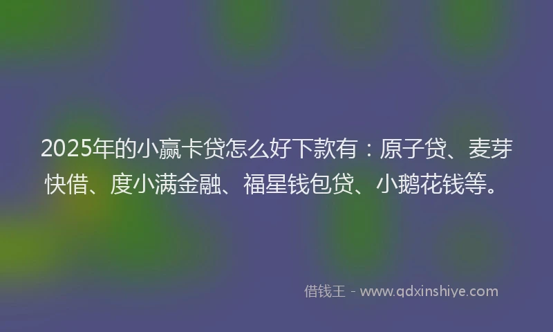 2025年的小赢卡贷怎么好下款有：原子贷、麦芽快借、度小满金融、福星钱包贷、小鹅花钱等。