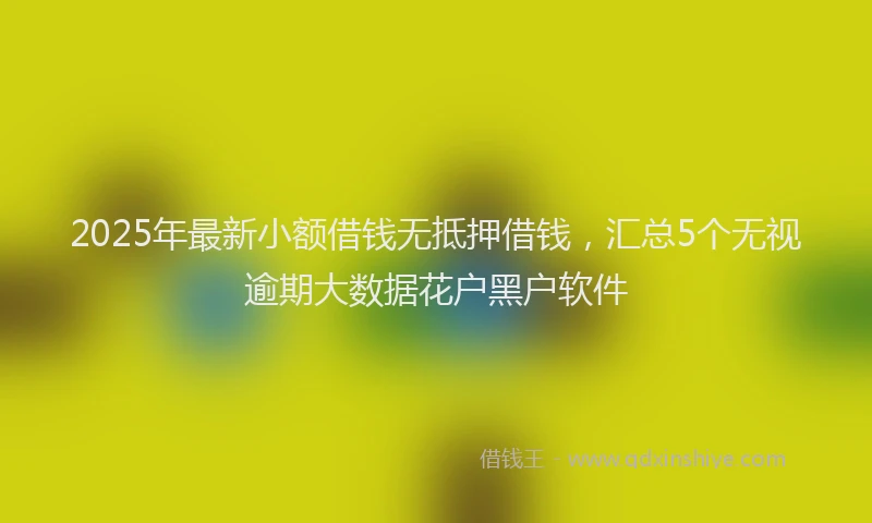 2025年最新小额借钱无抵押借钱，汇总5个无视逾期大数据花户黑户软件
