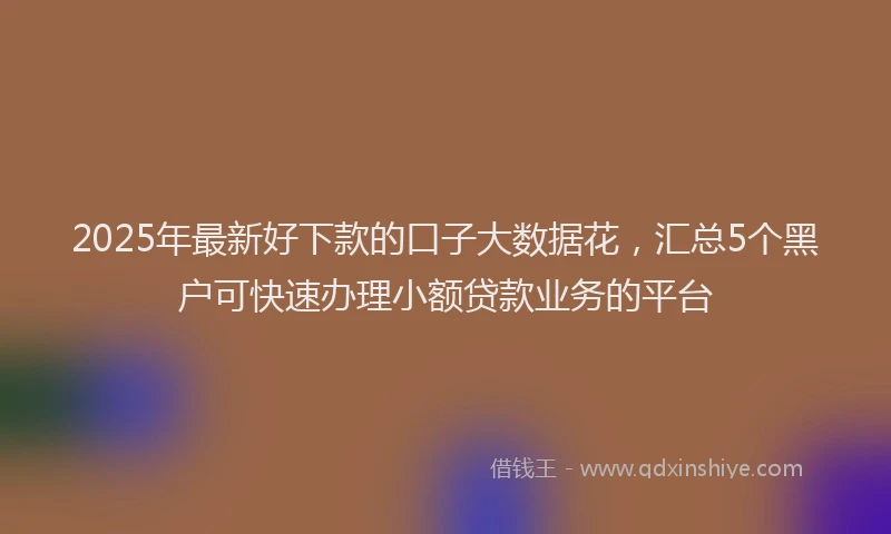 2025年最新好下款的口子大数据花，汇总5个黑户可快速办理小额贷款业务的平台