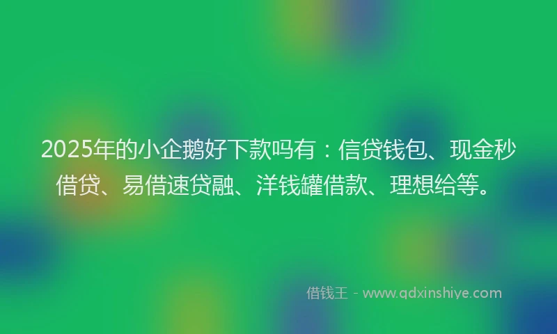2025年的小企鹅好下款吗有：信贷钱包、现金秒借贷、易借速贷融、洋钱罐借款、理想给等。