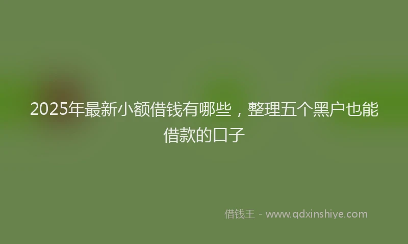 2025年最新小额借钱有哪些，整理五个黑户也能借款的口子