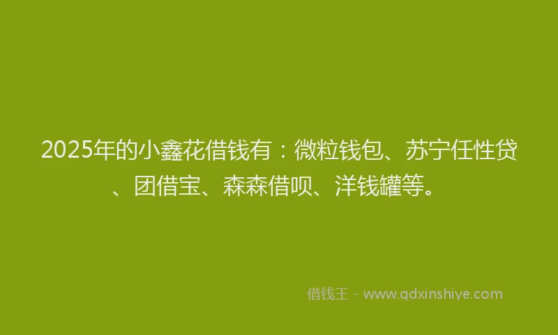 2025年的小鑫花借钱有：微粒钱包、苏宁任性贷、团借宝、森森借呗、洋钱罐等。