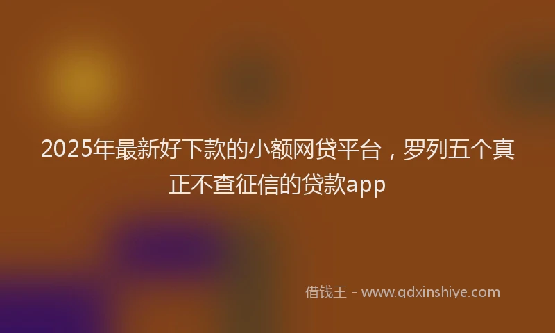 2025年最新好下款的小额网贷平台，罗列五个真正不查征信的贷款app