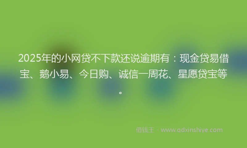 2025年的小网贷不下款还说逾期有：现金贷易借宝、鹅小易、今日购、诚信一周花、星愿贷宝等。