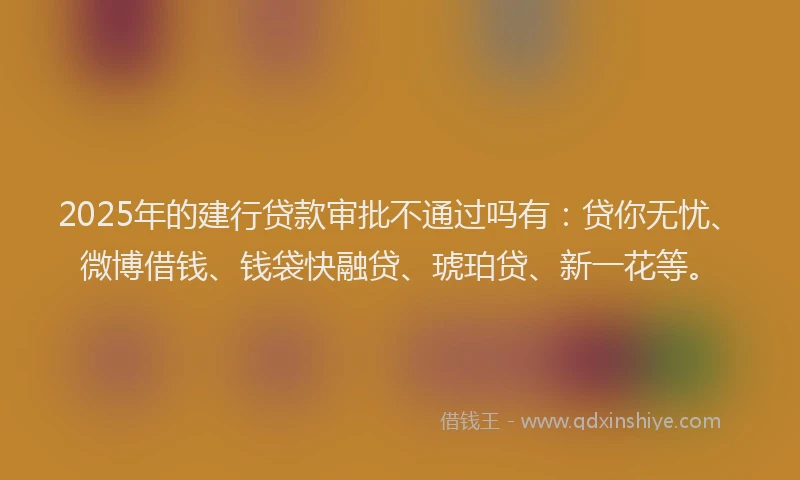 2025年的建行贷款审批不通过吗有：贷你无忧、微博借钱、钱袋快融贷、琥珀贷、新一花等。