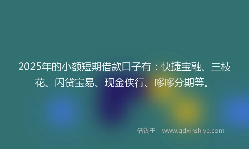 2025年的小额短期借款口子有：快捷宝融、三枝花、闪贷宝易、现金侠行、哆哆分期等。