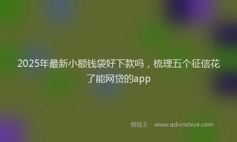 2025年最新小额钱袋好下款吗，梳理五个征信花了能网贷的app