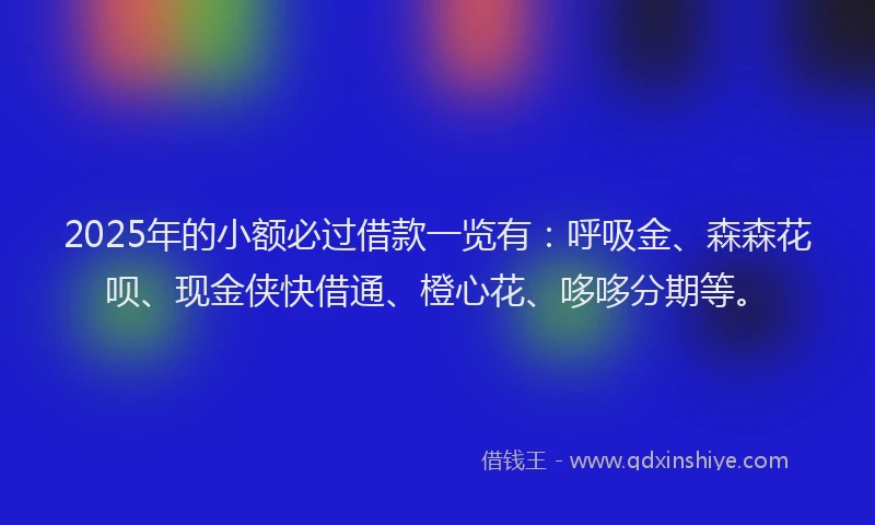2025年的小额必过借款一览有：呼吸金、森森花呗、现金侠快借通、橙心花、哆哆分期等。