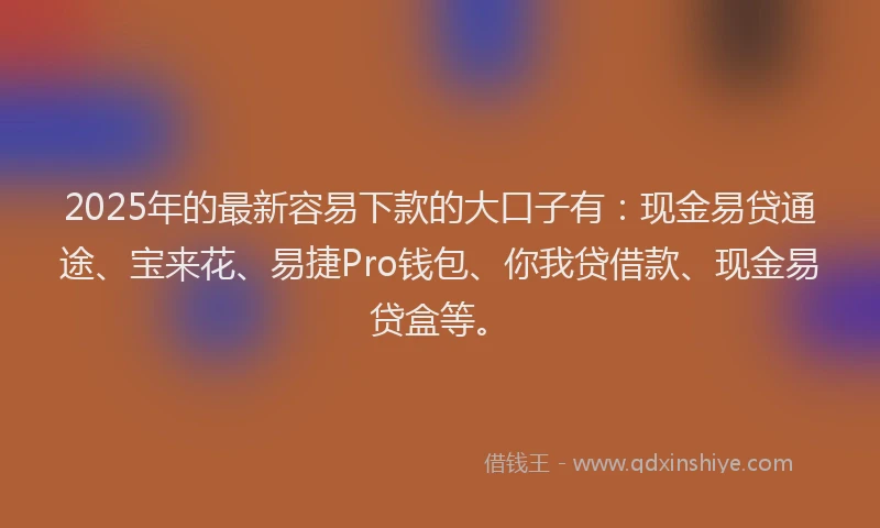 2025年的最新容易下款的大口子有：现金易贷通途、宝来花、易捷Pro钱包、你我贷借款、现金易贷盒等。