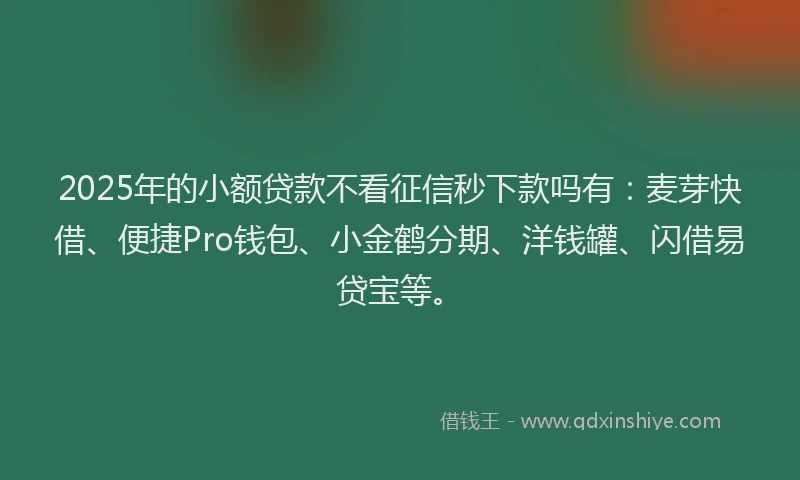 2025年的小额贷款不看征信秒下款吗有：麦芽快借、便捷Pro钱包、小金鹤分期、洋钱罐、闪借易贷宝等。