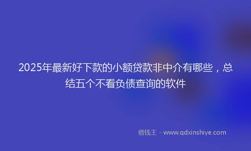 2025年最新好下款的小额贷款非中介有哪些，总结五个不看负债查询的软件