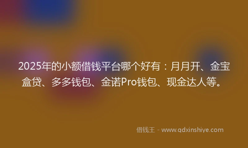 2025年的小额借钱平台哪个好有：月月开、金宝盒贷、多多钱包、金诺Pro钱包、现金达人等。
