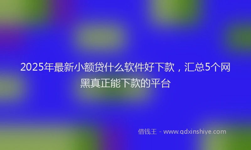 2025年最新小额贷什么软件好下款，汇总5个网黑真正能下款的平台