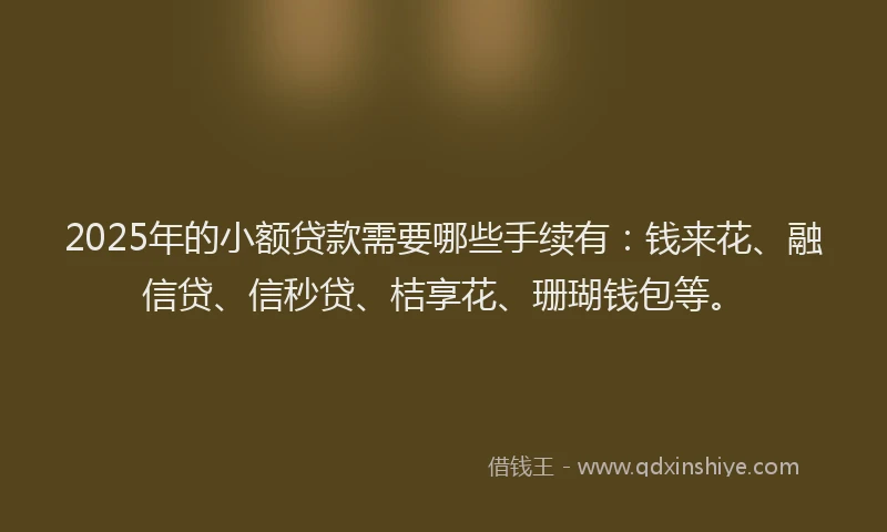 2025年的小额贷款需要哪些手续有：钱来花、融信贷、信秒贷、桔享花、珊瑚钱包等。