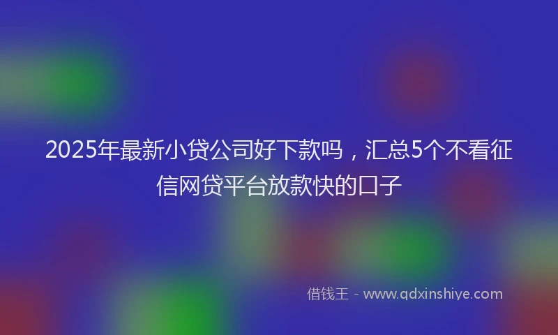 2025年最新小贷公司好下款吗，汇总5个不看征信网贷平台放款快的口子