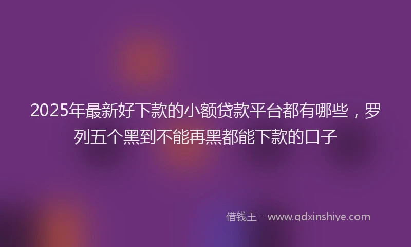 2025年最新好下款的小额贷款平台都有哪些，罗列五个黑到不能再黑都能下款的口子
