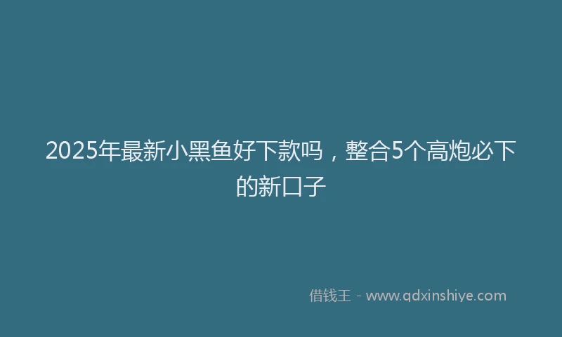 2025年最新小黑鱼好下款吗，整合5个高炮必下的新口子