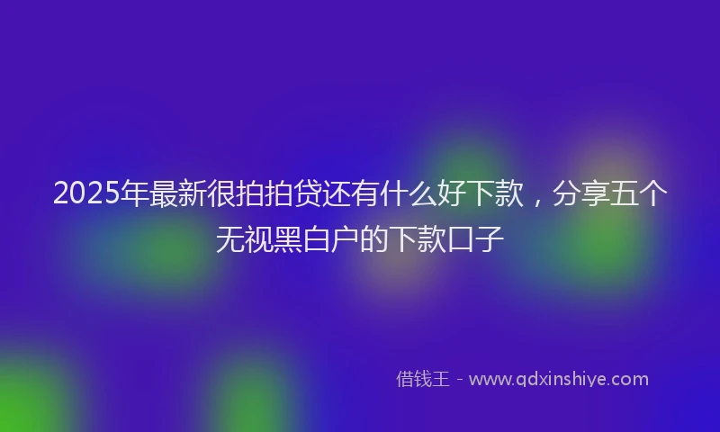 2025年最新很拍拍贷还有什么好下款，分享五个无视黑白户的下款口子