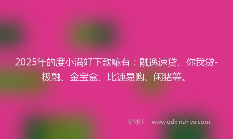 2025年的度小满好下款嘛有：融逸速贷、你我贷-极融、金宝盒、比速易购、闲猪等。