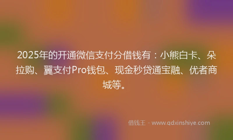 2025年的开通微信支付分借钱有：小熊白卡、朵拉购、翼支付Pro钱包、现金秒贷通宝融、优者商城等。