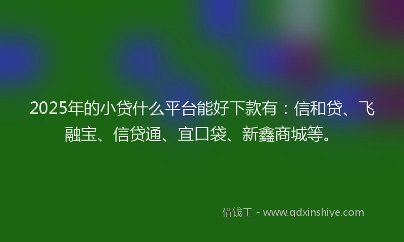 2025年的小贷什么平台能好下款有：信和贷、飞融宝、信贷通、宜口袋、新鑫商城等。