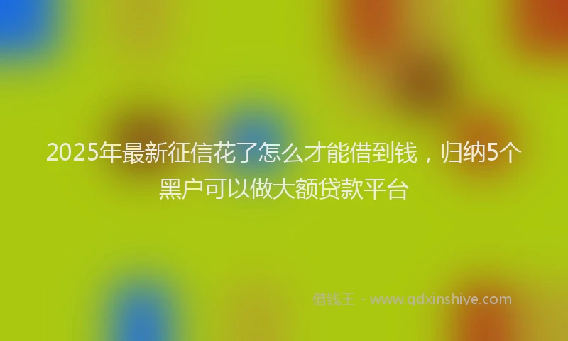 2025年最新征信花了怎么才能借到钱，归纳5个黑户可以做大额贷款平台