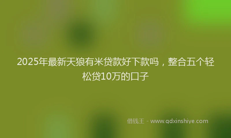 2025年最新天狼有米贷款好下款吗，整合五个轻松贷10万的口子