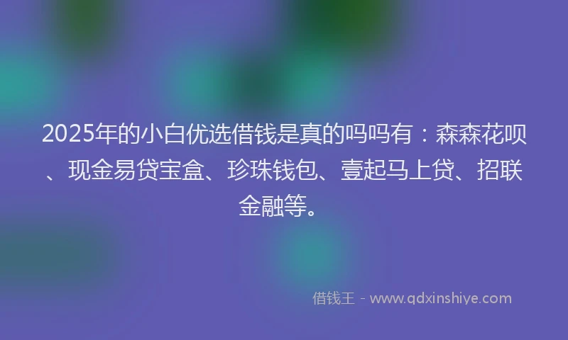 2025年的小白优选借钱是真的吗吗有：森森花呗、现金易贷宝盒、珍珠钱包、壹起马上贷、招联金融等。