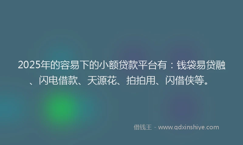 2025年的容易下的小额贷款平台有：钱袋易贷融、闪电借款、天源花、拍拍用、闪借侠等。
