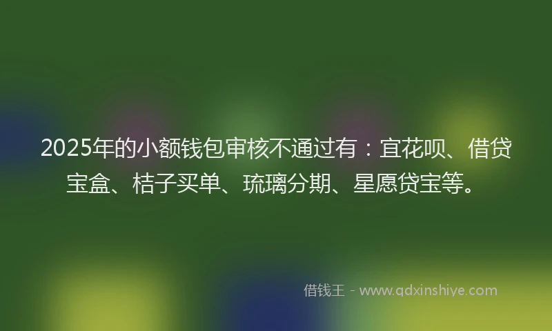 2025年的小额钱包审核不通过有：宜花呗、借贷宝盒、桔子买单、琉璃分期、星愿贷宝等。