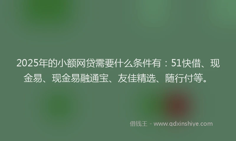 2025年的小额网贷需要什么条件有：51快借、现金易、现金易融通宝、友佳精选、随行付等。