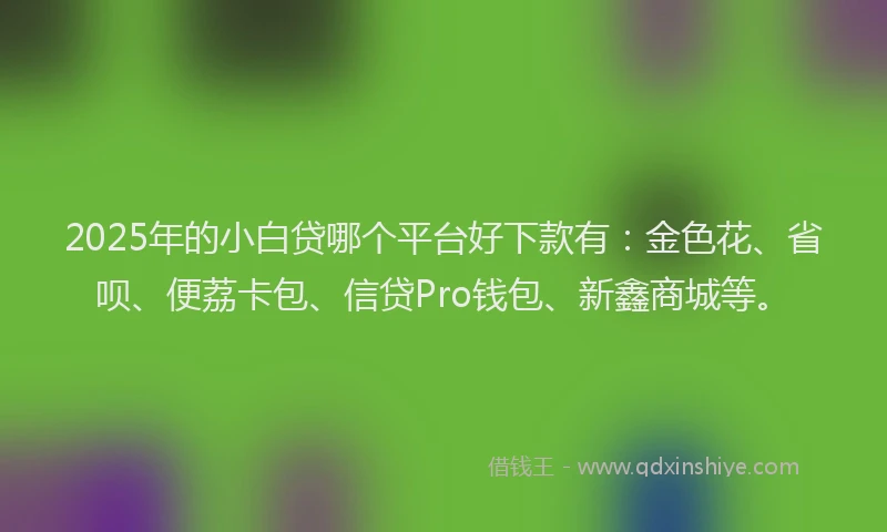 2025年的小白贷哪个平台好下款有：金色花、省呗、便荔卡包、信贷Pro钱包、新鑫商城等。