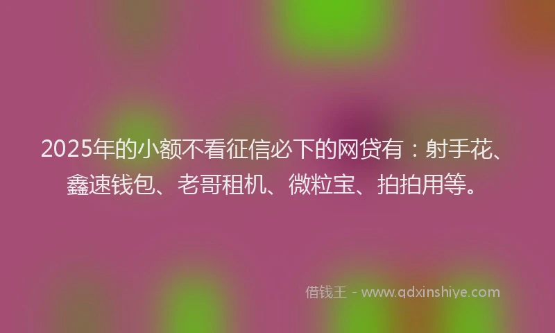 2025年的小额不看征信必下的网贷有：射手花、鑫速钱包、老哥租机、微粒宝、拍拍用等。