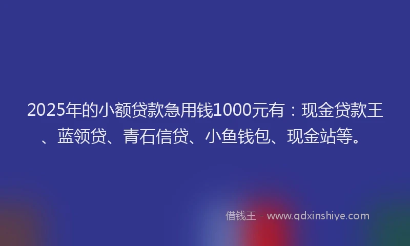 2025年的小额贷款急用钱1000元有：现金贷款王、蓝领贷、青石信贷、小鱼钱包、现金站等。