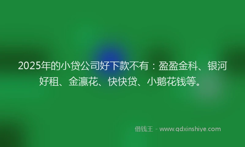 2025年的小贷公司好下款不有：盈盈金科、银河好租、金瀛花、快快贷、小鹅花钱等。