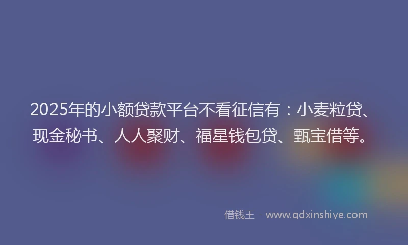 2025年的小额贷款平台不看征信有：小麦粒贷、现金秘书、人人聚财、福星钱包贷、甄宝借等。
