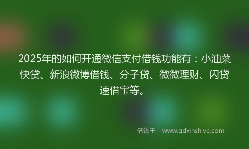 2025年的如何开通微信支付借钱功能有：小油菜快贷、新浪微博借钱、分子贷、微微理财、闪贷速借宝等。