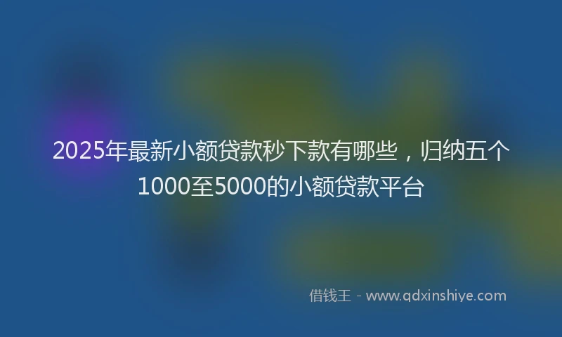 2025年最新小额贷款秒下款有哪些，归纳五个1000至5000的小额贷款平台