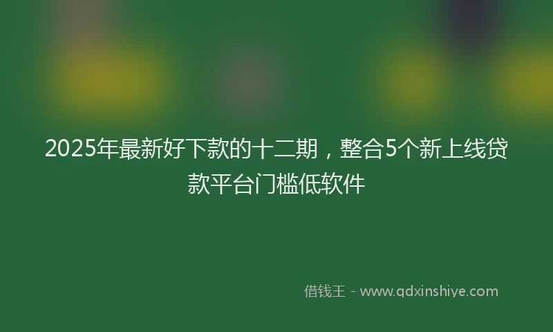 2025年最新好下款的十二期，整合5个新上线贷款平台门槛低软件