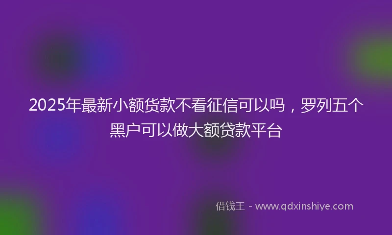 2025年最新小额货款不看征信可以吗，罗列五个黑户可以做大额贷款平台