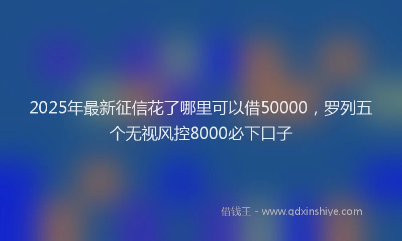 2025年最新征信花了哪里可以借50000，罗列五个无视风控8000必下口子