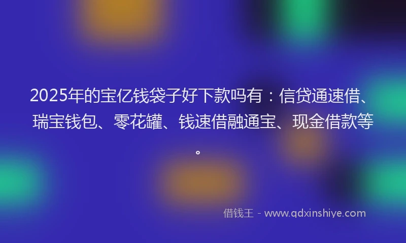 2025年的宝亿钱袋子好下款吗有：信贷通速借、瑞宝钱包、零花罐、钱速借融通宝、现金借款等。