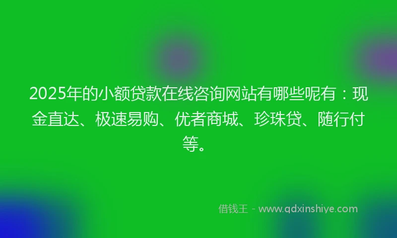 2025年的小额贷款在线咨询网站有哪些呢有：现金直达、极速易购、优者商城、珍珠贷、随行付等。