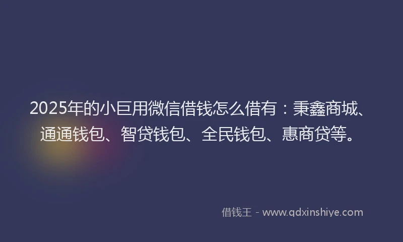 2025年的小巨用微信借钱怎么借有：秉鑫商城、通通钱包、智贷钱包、全民钱包、惠商贷等。