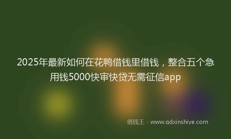 2025年最新如何在花鸭借钱里借钱，整合五个急用钱5000快审快贷无需征信app
