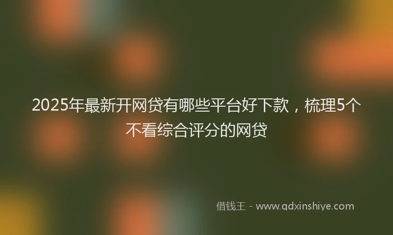 2025年最新开网贷有哪些平台好下款，梳理5个不看综合评分的网贷