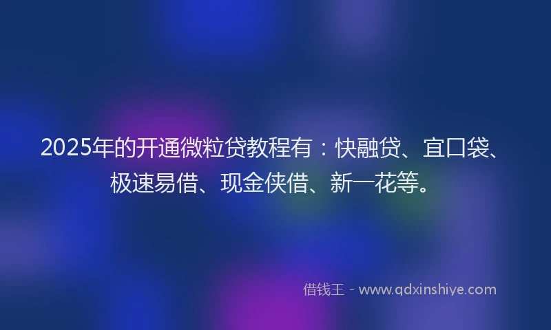 2025年的开通微粒贷教程有：快融贷、宜口袋、极速易借、现金侠借、新一花等。